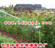 2017021350328265.jpg 2017021350328265.jpg